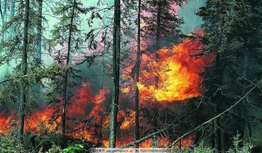 森林防火監控系統