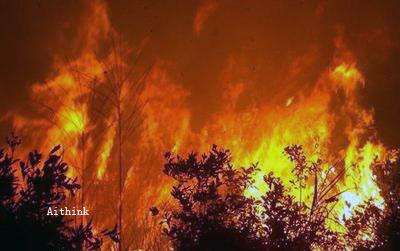 森林防火安全意識